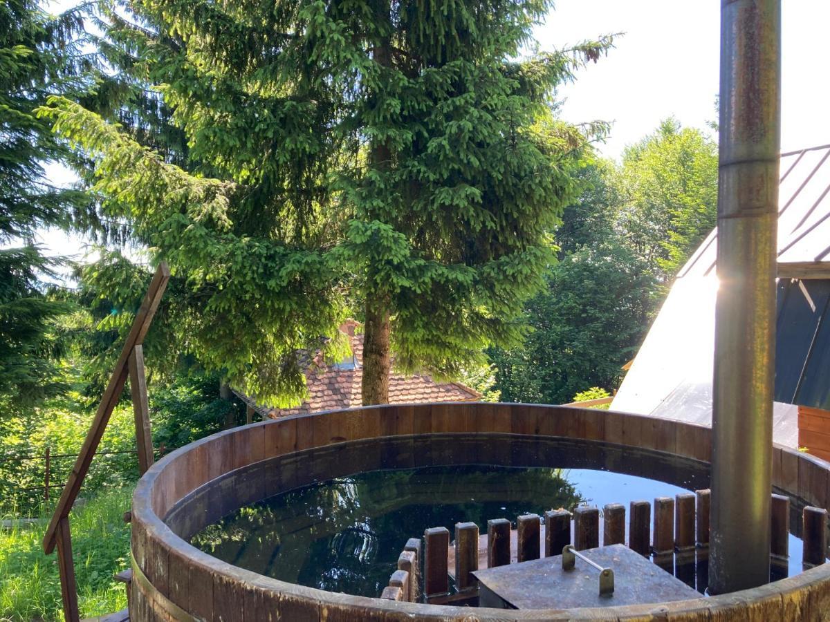 Ven Fenyo Kunyho Villa Ciceu Exterior foto