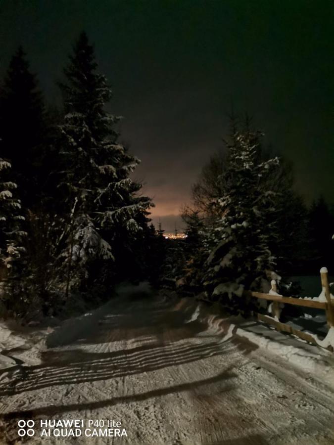 Ven Fenyo Kunyho Villa Ciceu Exterior foto